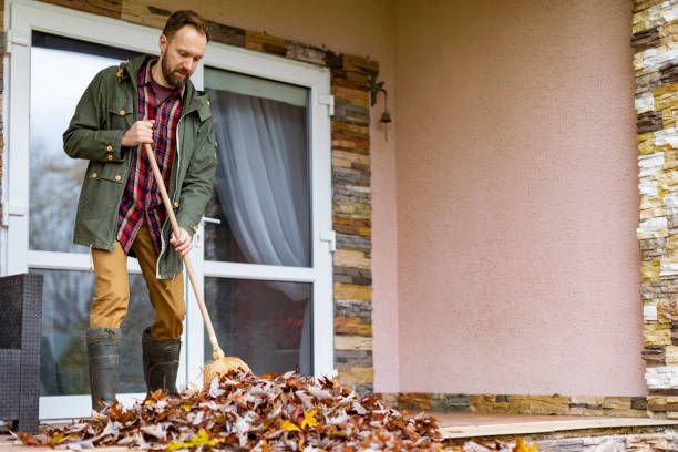 Best Construction Debris Removal  in Ridgebury, CT